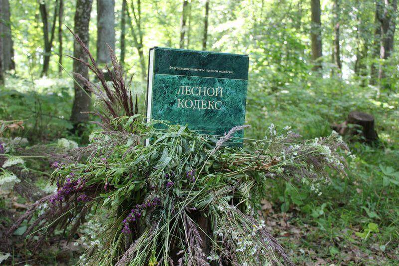 Лесной кодекс Российской Федерации 