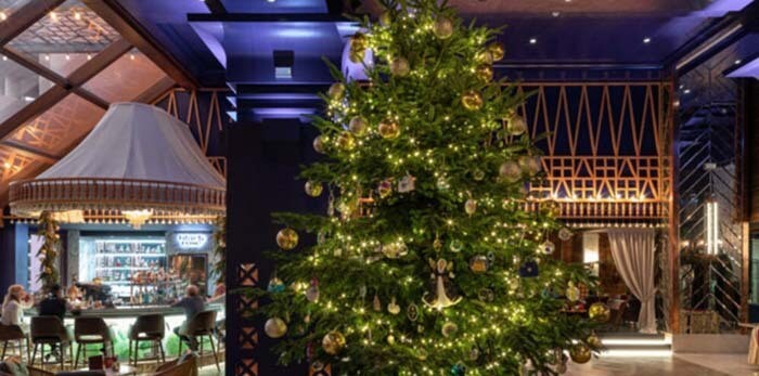 Самая дорогая в мире рождественская елка стоит 14 миллионов евро
06/12/2019
