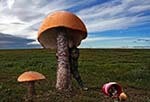 Самый большой гриб